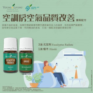 空調房空氣品質改善 擴香配方